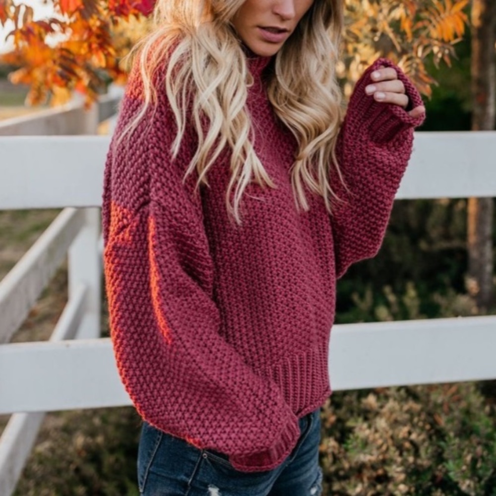 VICI Zinfandel Knit Sweater